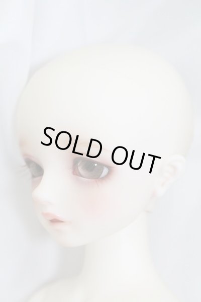 SDM/コーディネートモデル：F54 I-230611-1001-ZI - DOLL UP!