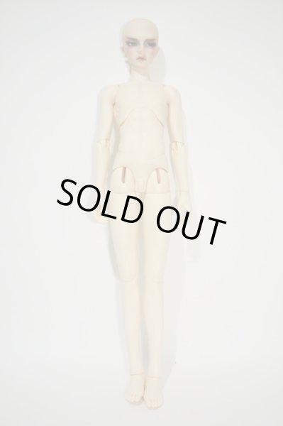 画像4: SD17BOY/ウィリアムズ Williams Commodore Ver.2 Y-23-08-16-010-YB-ZY (4)