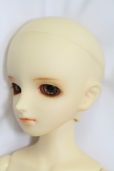 MSD/マーガレット (I230709-1003)-