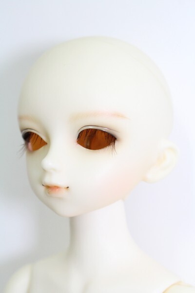 MSD/フルチョイス:19番ヘッド I-23-07-30-1075-ZI