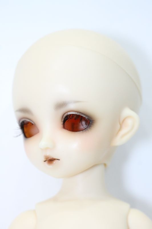 幼SD エディ 本体 | www.kinderpartys.at