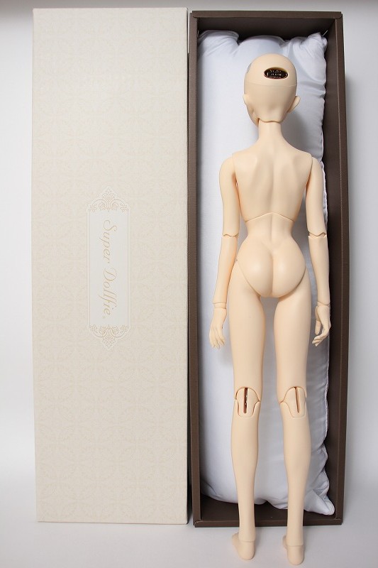 Y220413-013 SD16Girl/フルチョイス：F-92 (2222040024051) - DOLL UP!