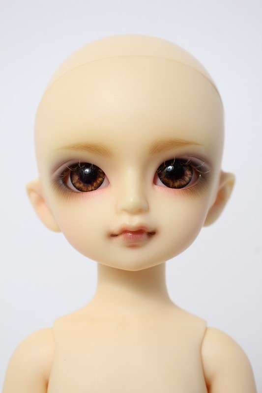 SDGr女の子まぁちゃ VOLKS ドルパ52 新品未開封】ドルパ52 SDGr まぁ